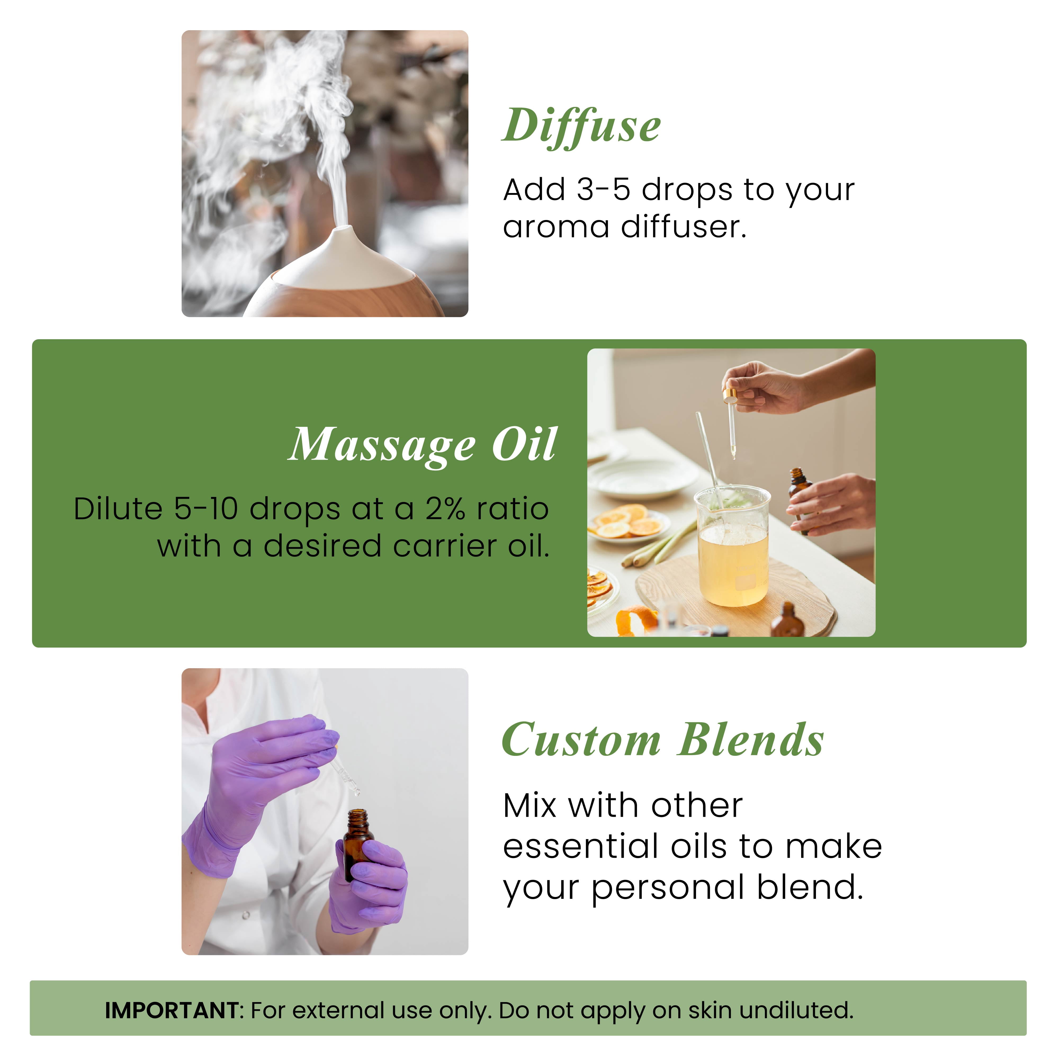 Handcraft Blends Rosemary Essential Oil - 100% Pure and Natural - Premium Grade Essential Oil for Diffuser and Aromatherapy - 1 Fl Oz