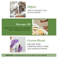 thumbnail image 5 of Handcraft Blends Rosemary Essential Oil - 100% Pure and Natural - Premium Grade Essential Oil for Diffuser and Aromatherapy - 1 Fl Oz, 5 of 7