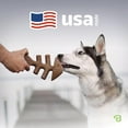 thumbnail image 5 of Benebone Tiny 2-Pack Fishbone Durable Dog Chew Toys, Real Fish Flavor, 5 of 6