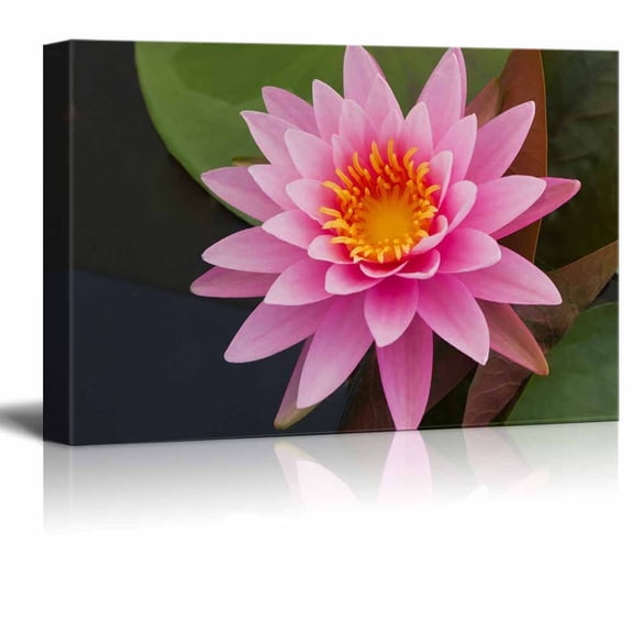 Canvas Prints Wall Art - Beautiful Scenery/Landscape Pink Lotus in Pond | Modern Wall Decor/Home Decoration Stretched Gallery Canvas Wrap Giclee Print & Ready to Hang - 24" x 36"