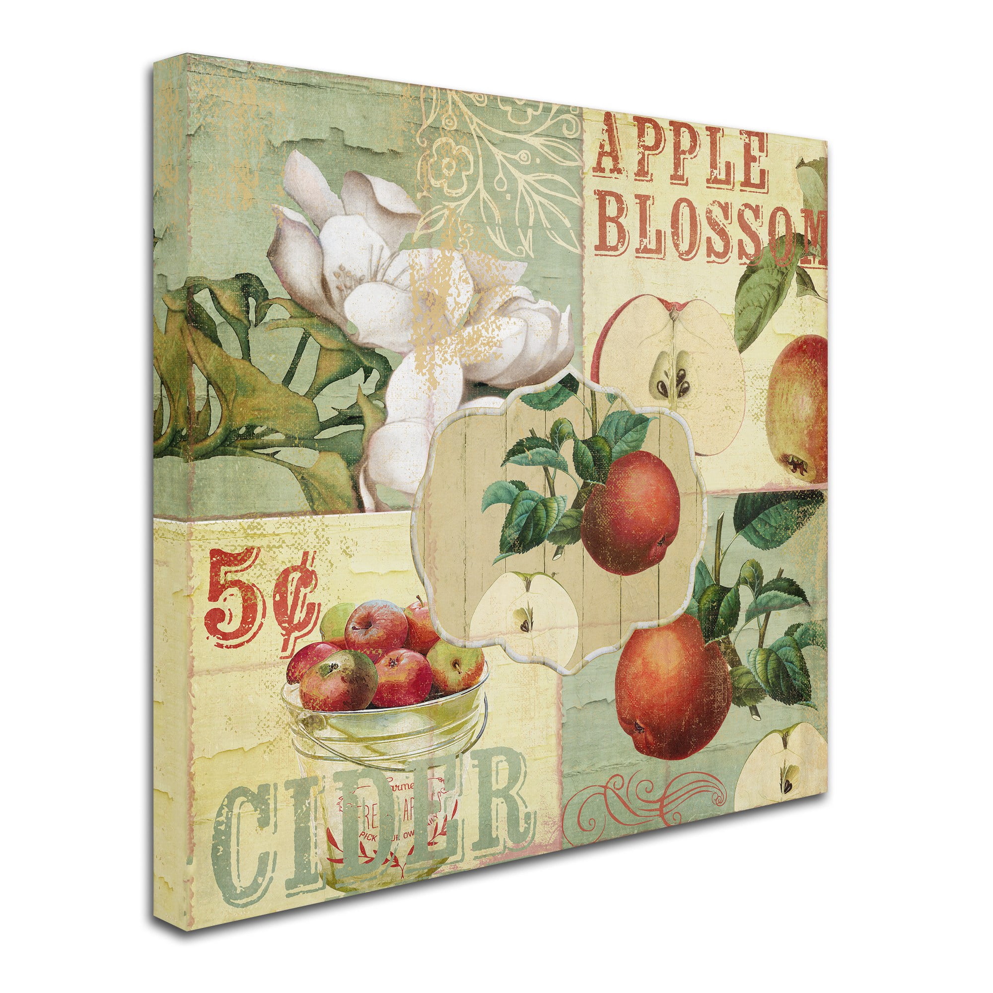 Trademark Fine Art "Apple Blossoms I" Canvas Art by Color Bakery