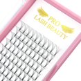 thumbnail image 1 of Extensiones de pestañas con volumen prefabricadas PRO LASHBEAUTY 5D-C-0.10-9 mm, 1 of 8