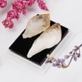 thumbnail image 2 of Tachiuwa Rock & Mineral Collection Geology Science Kit Science Toy - Citrine, 2 of 9