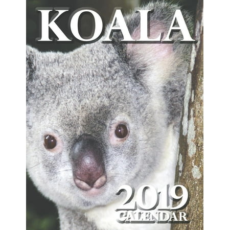 Koala 2019 Calendar (Paperback) (The Best Animes Of 2019)