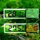 thumbnail image 2 of 2 Medidores Electrónicos LCD Digitales de Temperatura para Acuarios., 2 of 6