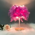 thumbnail image 3 of Lámpara De Plumas LED Decorativa Atmósfera Luz Dormitorio Dormitorio Lámpara Femenina Dormitorio Lámpara De Noche Para Sala De Estar Boda, 3 of 7