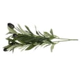 thumbnail image 2 of Shisuyan 5pcs Artificial Olive Branches: 15.7” Tall Artificial Plants Olive Tree Branches Pick For Vase Tabletop Greenery Decorations, 2 of 8