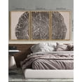 thumbnail image 4 of SHENIFY large 24x36in3pcs Natural Framed Farmhouse Vintage Wall Art Set Gray Wood Tree Ring Spirals Nature Abstract Drawings Rustic Modern Art Decor for Living Room Bedroom, 4 of 6
