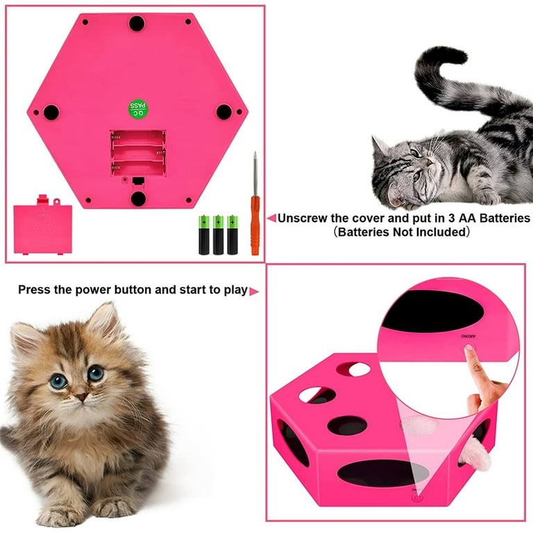 Cat maze cheap toy