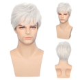 thumbnail image 1 of Pelucas blancas para hombre, disfraz de Cosplay Natural de capas cortas, pelucas de repuesto sintéticas resistentes al calor para Halloween, 1 of 5