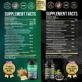 thumbnail image 2 of Zoyava Sea Moss & Shilajit Capsules Bundle - 16-in-1 19,445 MG + 8-in-1 15,250 MG with Ashwagandha & Turmeric, 2 of 12