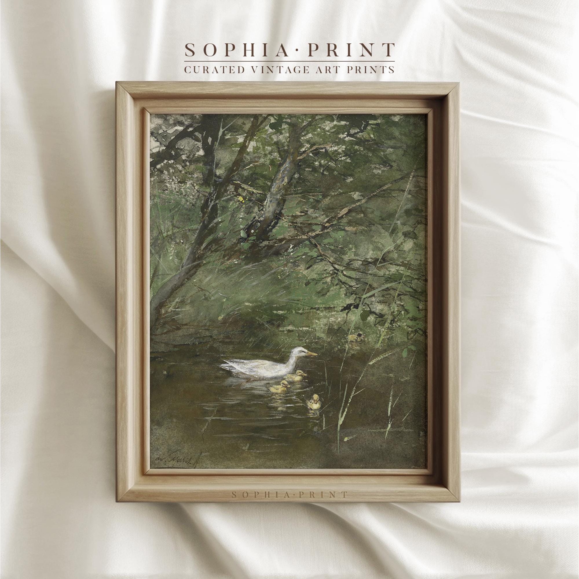 White Swan In Lake Art Bird And Lakescape Print Animal And Nature Art Swan Art #720