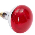 thumbnail image 1 of E27 275W Infrared Red Heat Light Therapeutic Therapy Relief Pain Lamp Bulb, 1 of 4