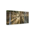 thumbnail image 2 of Trademark Fine Art 'Sunshine Forest' Canvas Art by Pierre Leclerc, 2 of 3