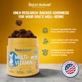 thumbnail image 6 of Dogsee Activet+ Multivitamin Chews Vitamins Minerals Probiotics Omega 90 Chews, 6 of 9