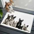 thumbnail image 3 of Dogs Entryway Rug 2'x3'&nbsp; Non Slip Front Door Mats, Modern Art Lovely Animals Farmhouse Entrance Rugs Indoor Outdoor Carpet, Washable Floor Mats Small Area Rug for Bedroom Kitchen, 3 of 8