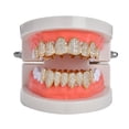 thumbnail image 2 of Oro AA Sunnimix Tapas para parrillas de dientes de boca, 2 of 8