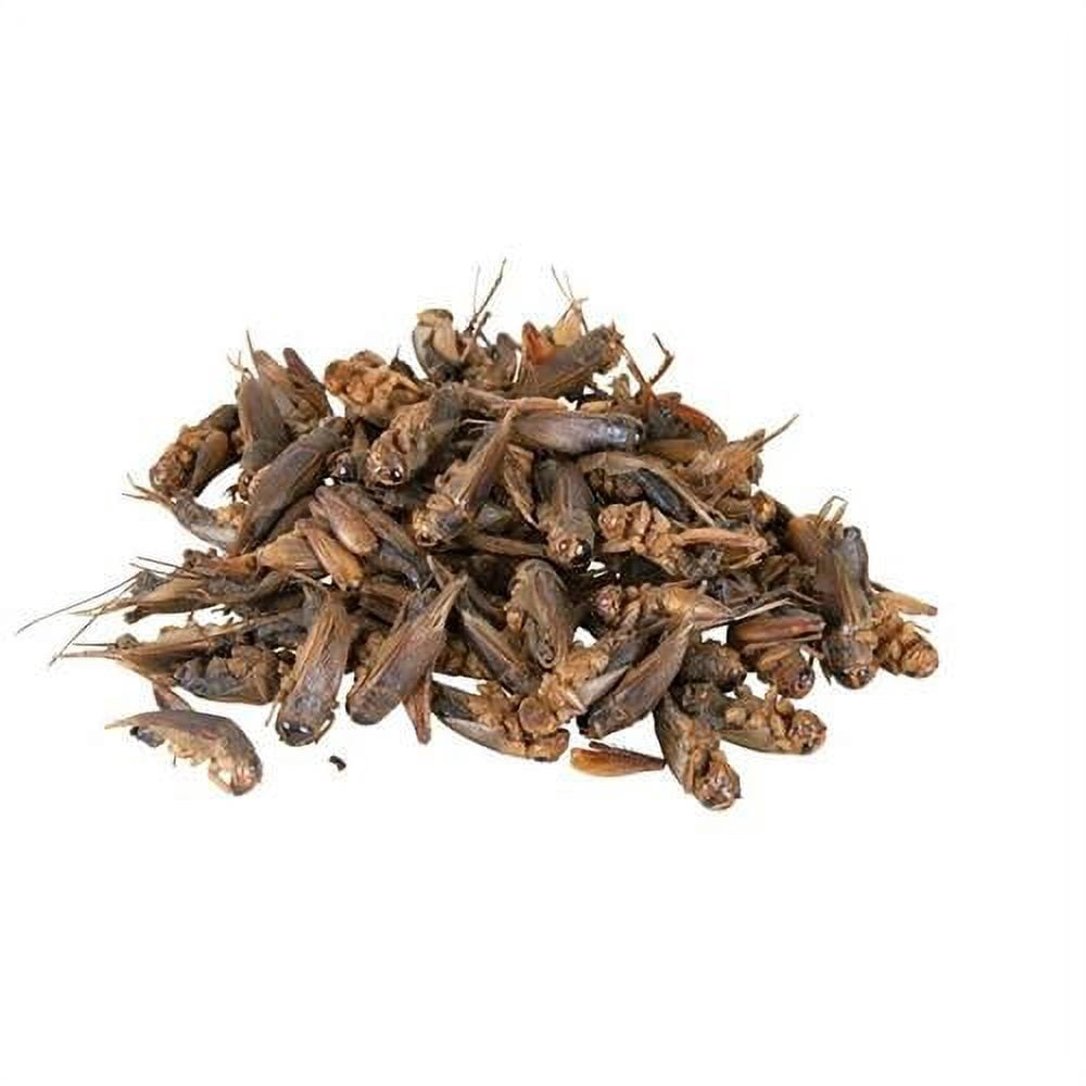 Exotic Nutrition Dried Crickets 2.2 lb.
