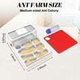 thumbnail image 2 of Ant Farm Nest Science DIY Terrarium Kit Care for Live Ants Ant Habitat with Water Tower Nurturing Room and Comprehensive Observation, 2 of 6