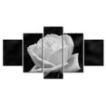 thumbnail image 1 of TISHIRON 5PCS Framed Canvas Wall Art Set,60"x32" White Rose Flower Canvas Art Decor, 1 of 7