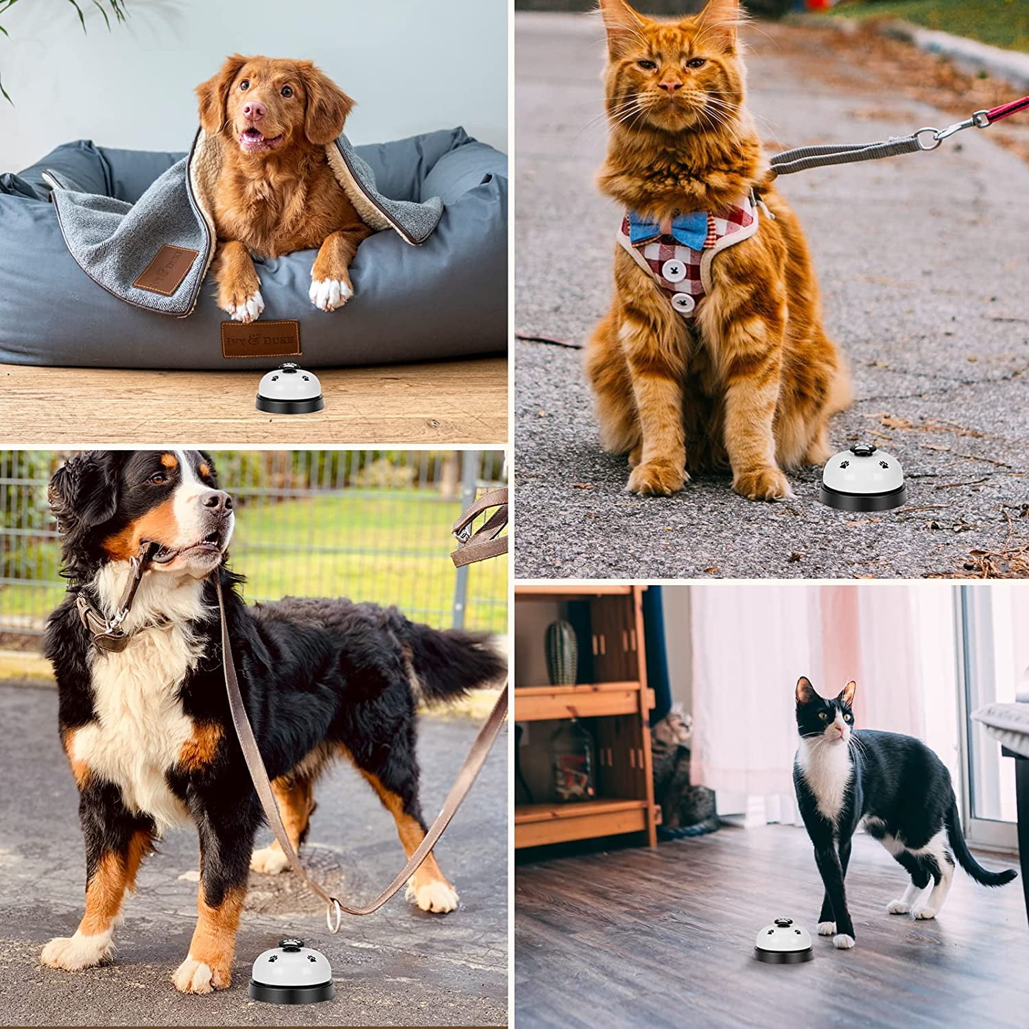 Pet Training Bells 2 Pack Dogs Bell for Door Potty Training and to Ring to Go Outside Communication Device Dog AgilityTraining Equipment Interactive