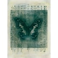 thumbnail image 2 of Ray, Elena 12x14 White Modern Wood Framed Museum Art Print Titled - Butterfly Calligraphy I, 2 of 4