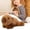 xw302#- Brown - 18cm, variant on Capybara Plush Toys Huggable Cushion Cuddly Pillow Cushion Stuff Dolls Plush Plushie Must Have Cute Toy For Holidays Stuffed Animals Valentine'S Day/Birthday/Holiday Brown - 18cm