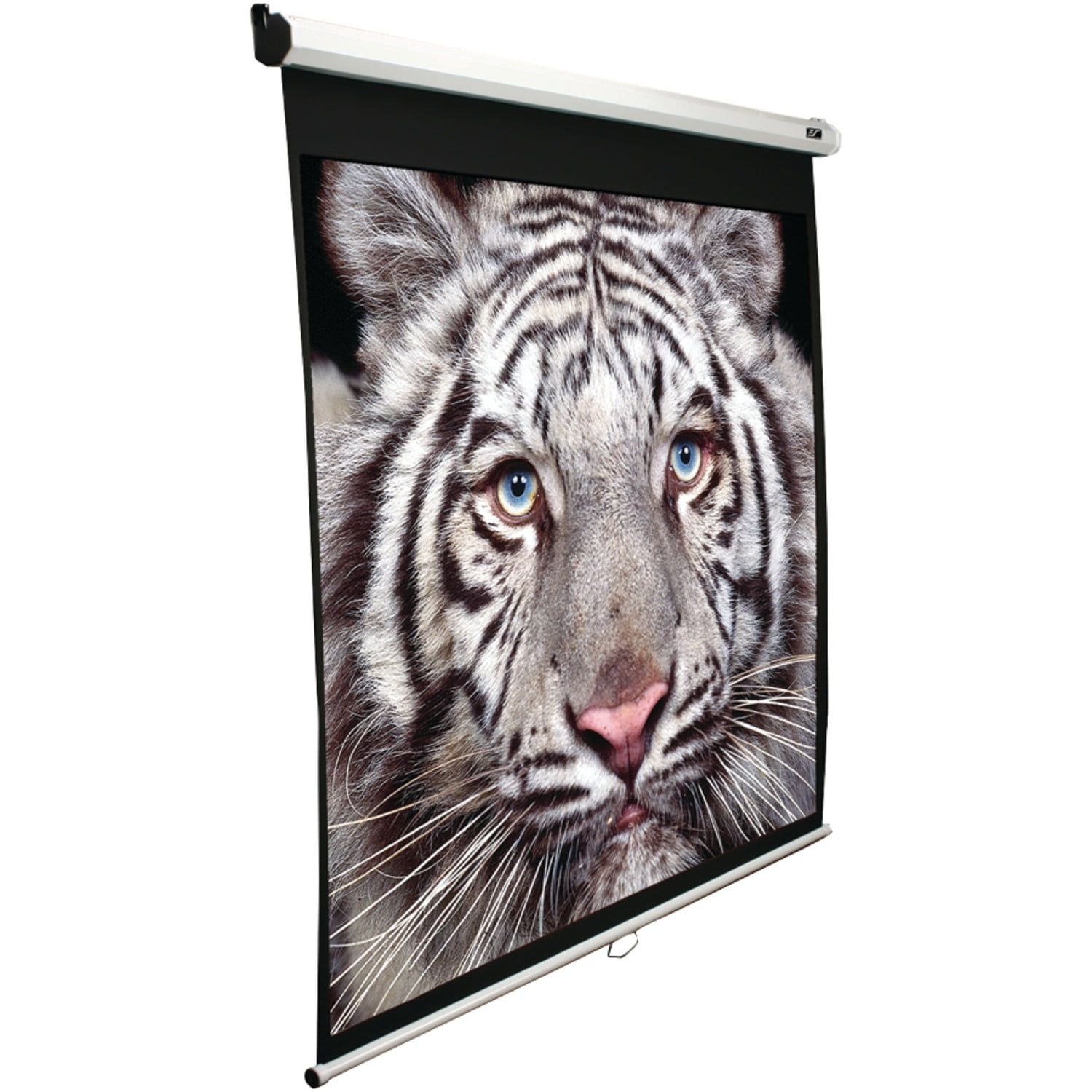 Elite Screens M100s 100" Manual Pulldown B Series Projection Screen (1
