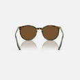 thumbnail image 3 of Sunglasses Ray-Ban RB 2204 139357 Havana On Transparent Polar Br, 3 of 5
