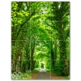 thumbnail image 1 of Picture-Tiles.com: Trees Ceramic Tile Wall Mural WAL501043-34XL. 36"W x 48"H using (12) 12" x 12" Ceramic Tiles-Satin Finish, 1 of 3