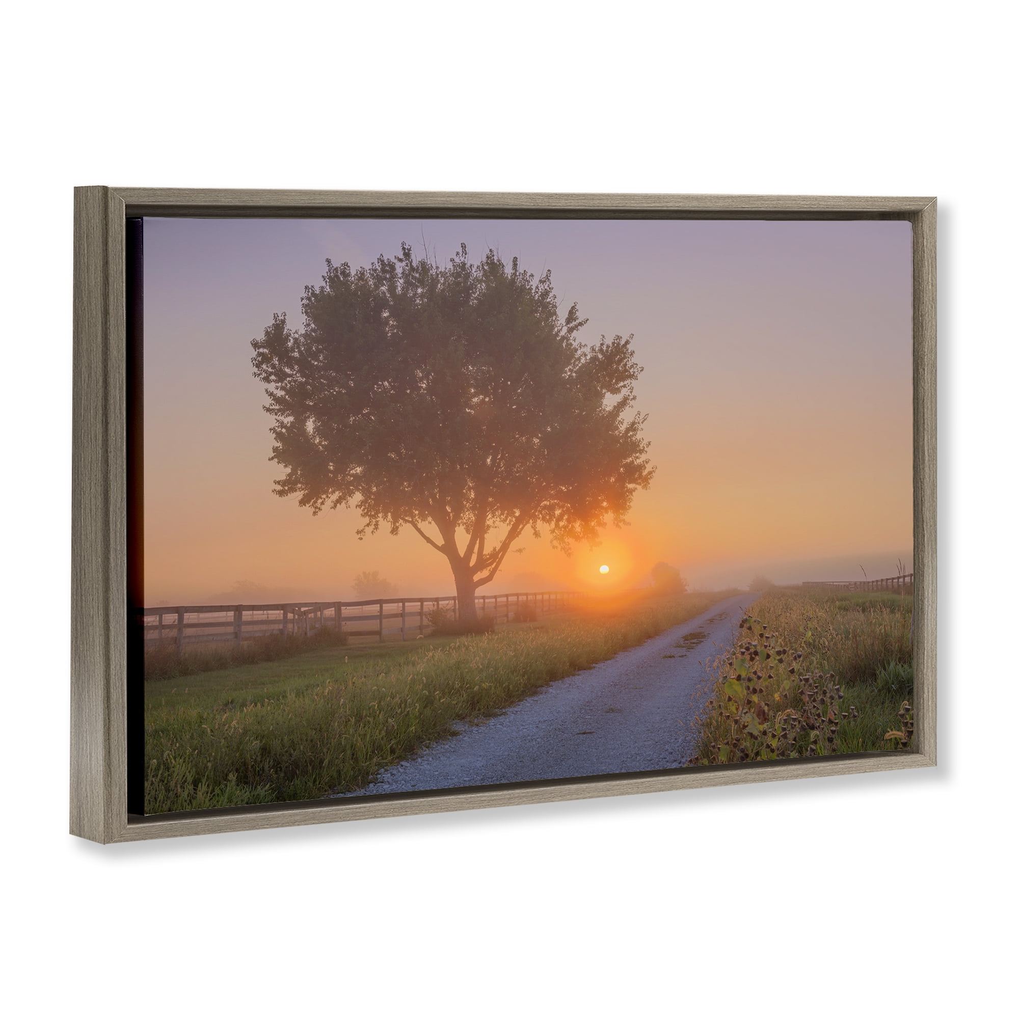 Stupell Industries Flower Lined Path Landscape & Nature Photography Brown Floater Framed Canvas Art Print Wall Art, 31 x 21