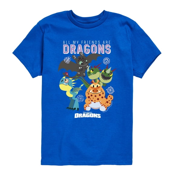 How to Train Your Dragon - All My Friends Are Dragons - Youth Boys Short Sleeve Graphic T-Shirt