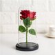 thumbnail image 4 of Cateissary El aromaterapia de la flor eterna de Rose llevó la decoración con pilas de la bóveda de cristal de Rose Kits de decoración para fiestas rojo Cateissary HA024896-01, 4 of 5