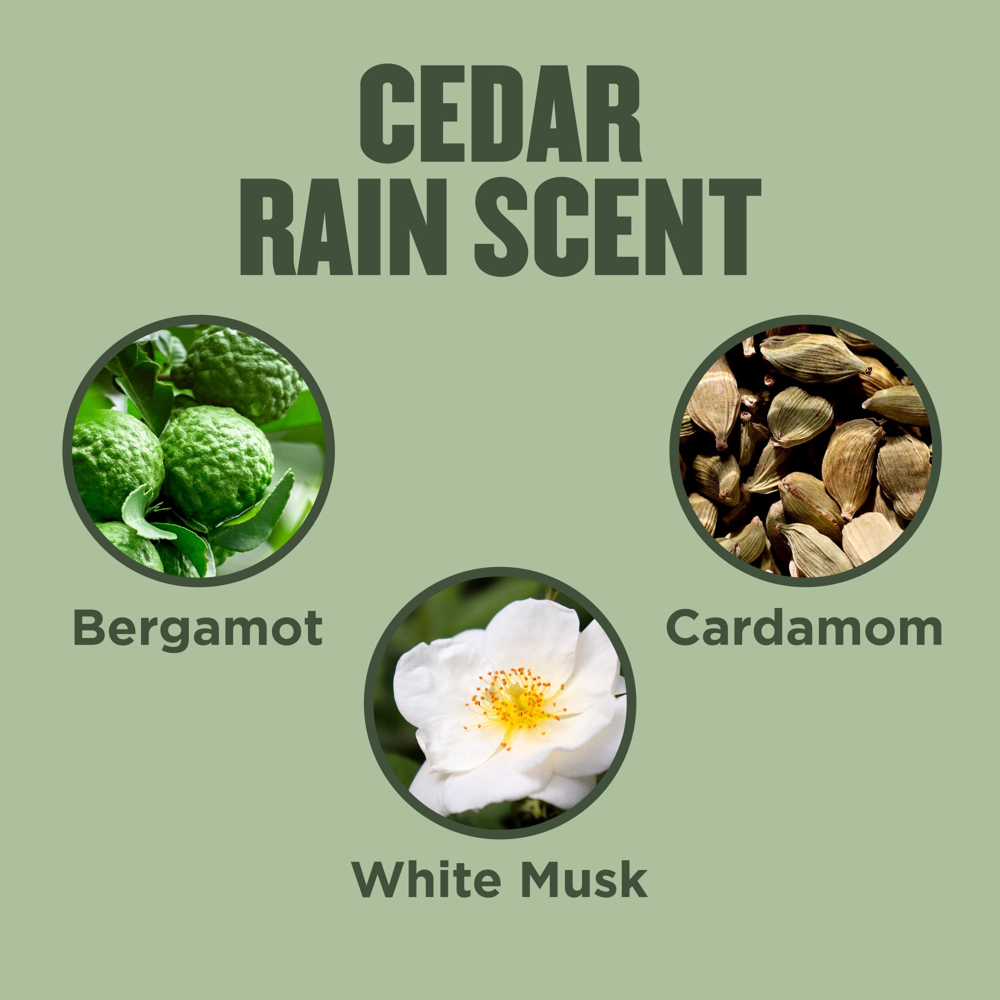 Gold Bond Cedar Rain Refreshing Hand Cream, Everyday Hand Cream with Aloe Vera to Refresh Skin and Vitamin E to Help Soothe the Skin, Comforting Cedar Rain Scent, 3 oz