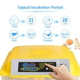 thumbnail image 3 of INTBUYING Digital Egg Incubator 48 Eggs Poultry Hatcher General Digital Incubators Breeder with Temperature Control and Auto Turning for Hatching Chicken Duck Goose Quail Birds, 3 of 10