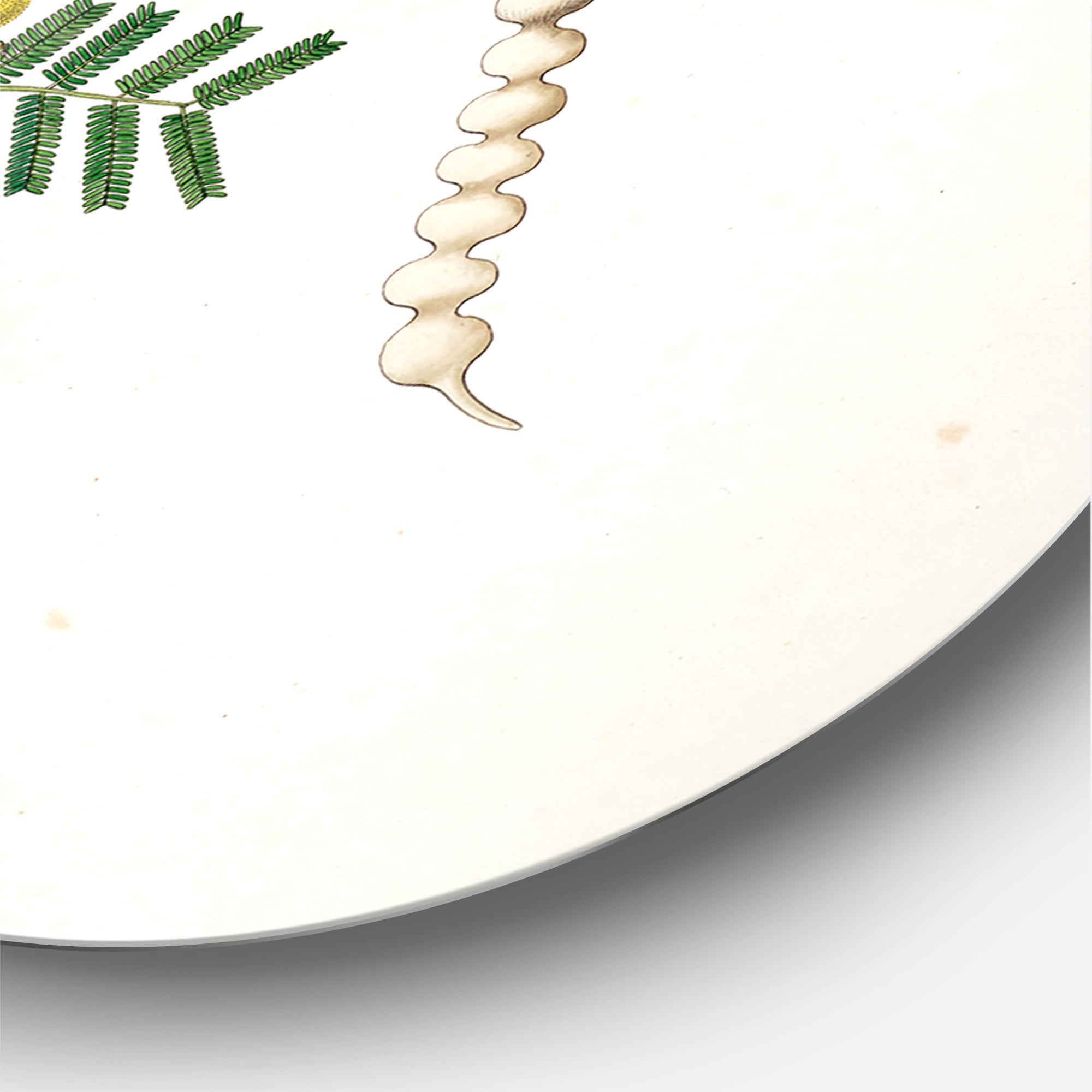 Designart 'Ancient Blossoming Flower III' Farmhouse Circle Metal Wall Art 29x29 - Disc of 29