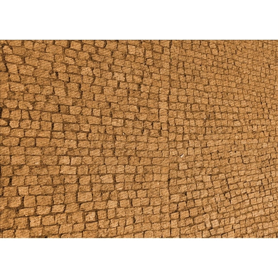 Ahgly Company Indoor Rectangle Patterned Mahogany Brown Area Rugs, 3' x 5'