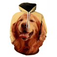 thumbnail image 5 of Sudadera con capucha con gráfico de perro de montaña de Berna para hombre, ropa con estampado 3D de perrito lindo, novedad en sudaderas con capucha para mujer, moda Harajuku y2k, 5 of 5