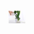 thumbnail image 4 of piezas de plástico de doble cabeza tapa de botella aspersor, ducha regadera botella regadera bonsái regadera para plantas de semillero de interior, herramienta de jardín Sincero  Hogar, 4 of 6