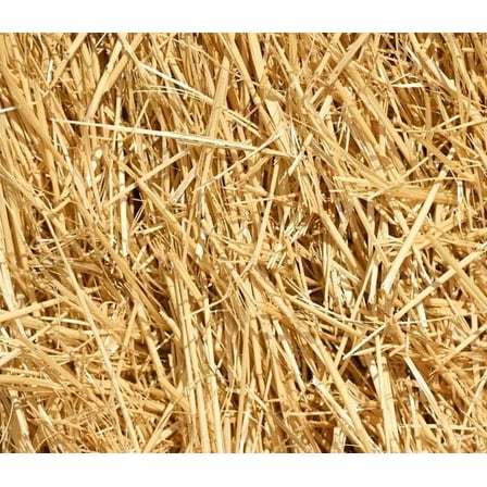 10 Pounds 100% Natural Wheat Straw for Animal Bedding, Garden Mulch, Compost & Fertilizer, and Grass Cover (10 Lbs)