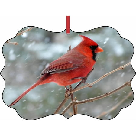 Ornament Cardinal - Red Cardinal Bird in the Snow - Elegant Aluminum SemiGloss Christmas Ornament Tree Decoration - Unique Modern Novelty Tree Décor