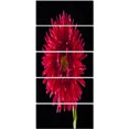 thumbnail image 2 of Chrysanthemum Flower on Black - Flowers Canvas Wall Artwork, 2 of 3