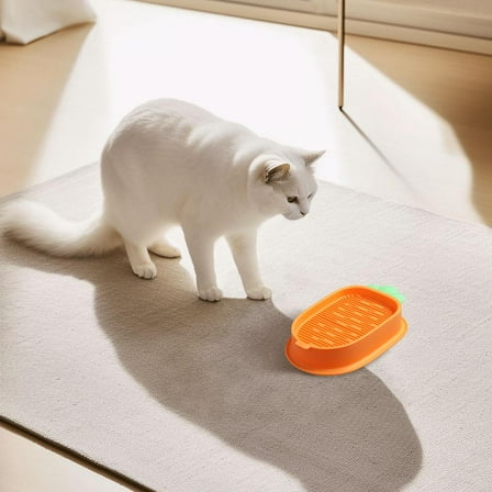 Ruifaya Cat Grass Planting Box Plant Growing Kit Hydroponic Soil-Free Grass Cat U.K-BEST