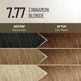 thumbnail image 3 of Il Salone Milano Plex Rebuilder Permanent Hair Color Kit - 7.7 Cinnamon Blonde, 3 of 11