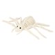 thumbnail image 2 of Esqueleto de araña de Halloween, esqueleto de animal, decoración de Halloween, accesorio de fiesta para fiesta en el jardín, fiesta, casa embrujada,, 2 of 8