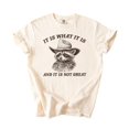 thumbnail image 4 of It Is What It Is and It Is Not Great Shirt for Women & Teens Funny Raccoon Tee Ivory Shirt Adult Large, 4 of 4