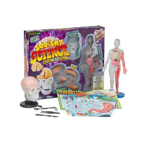 smartlab totally squishy from head to toe