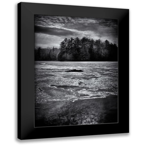 Carson, Brian 14x18 Black Modern Framed Museum Art Print Titled - Gullwing 1