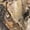 EDGE Camo, variant on Realtree Men’s Long Sleeve Hunting Cotton Shirt, APX Camo Pattern, Relaxed Fit, Size S-5X