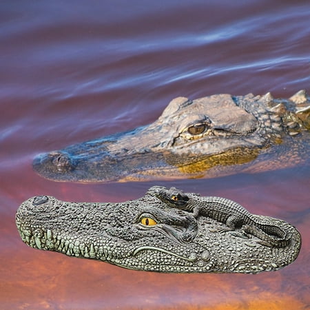 realistic alligator pool float